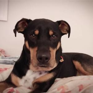 Meet your Posher, Lucille